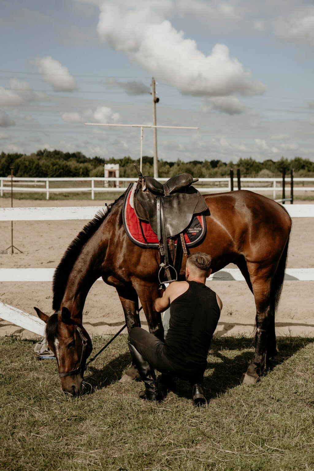 Why Do Horses Bite? (And How to Stop It) Equestrian Boots and Bridles