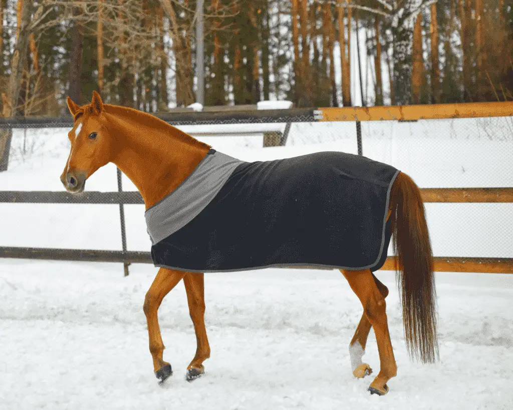 how to measure for a horse blanket