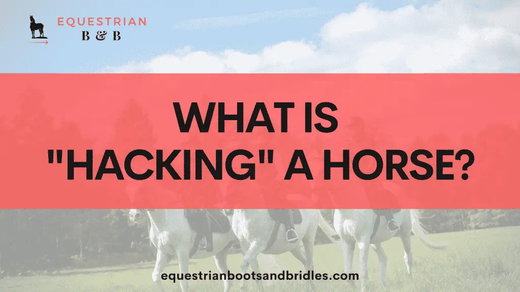 what is hacking a horse