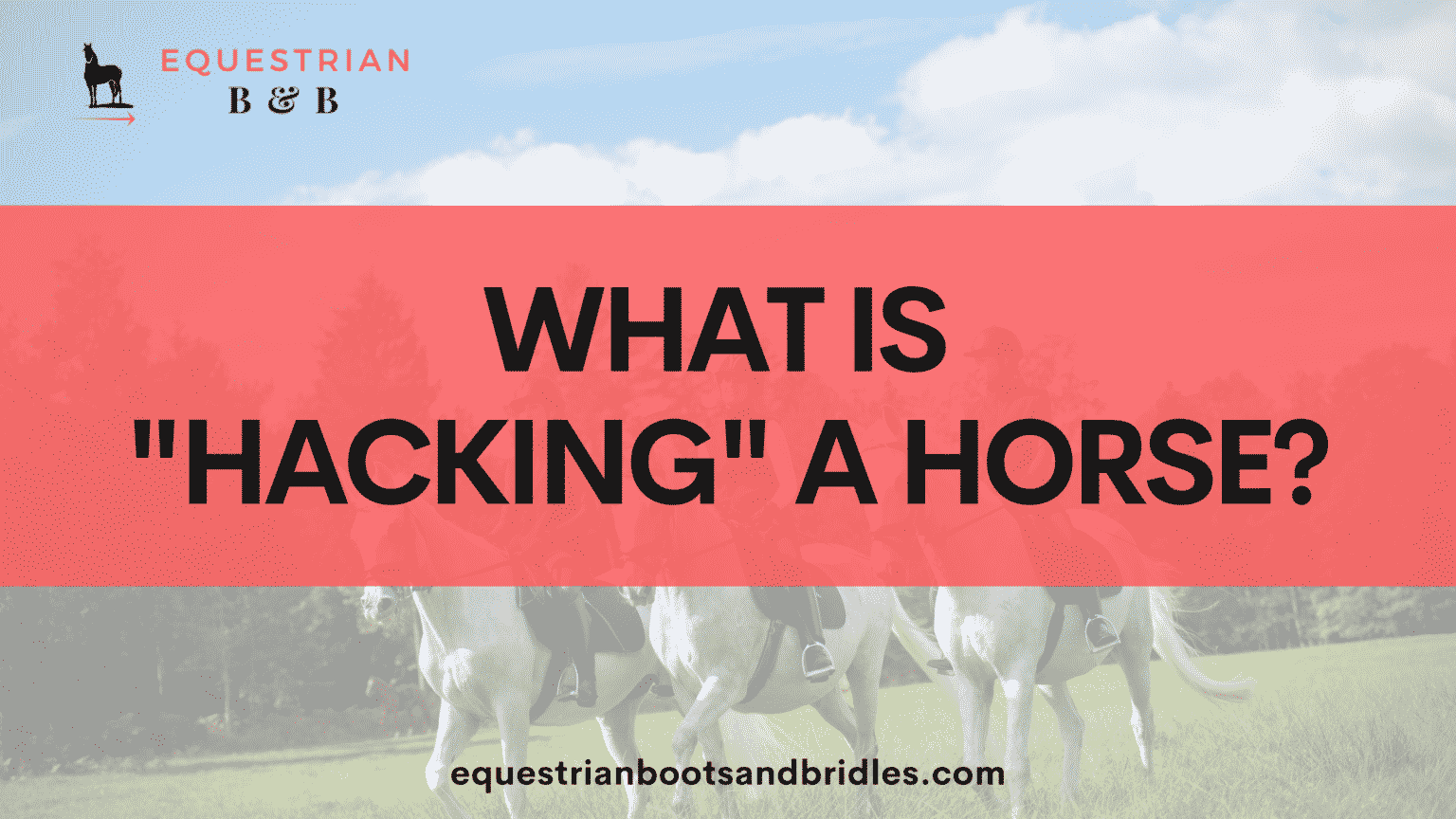 What Is Hacking a Horse? [A Beginner’s Guide to a Safe Hack