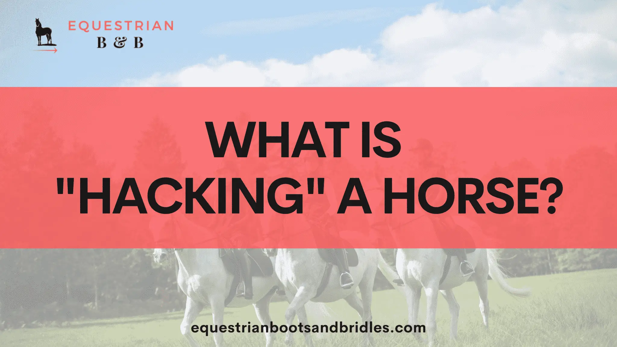 what is hacking a horse