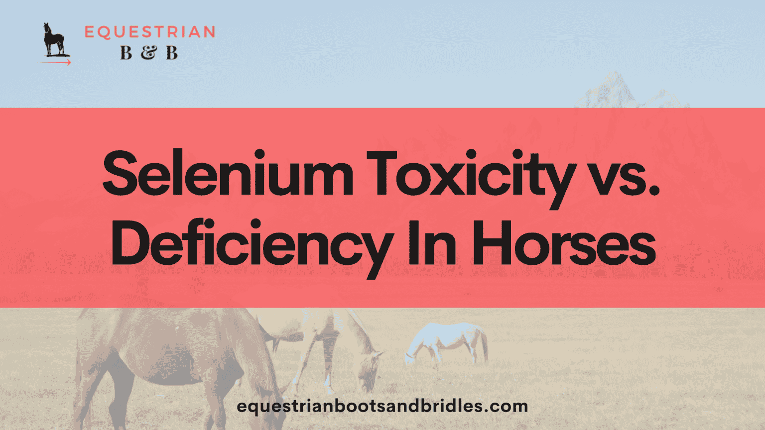 Selenium Toxicity vs. Deficiency In Horses Equestrian Boots and Bridles