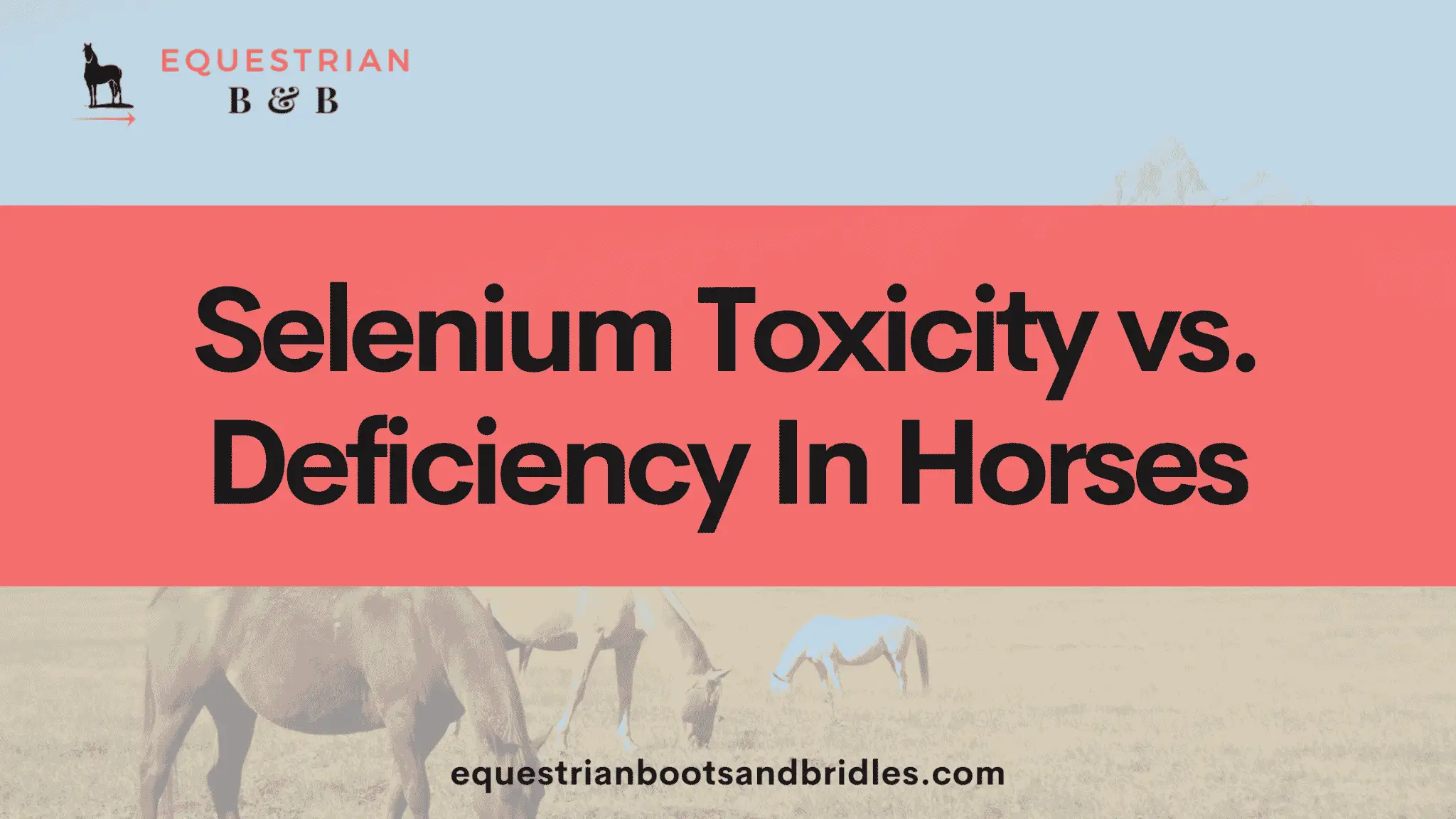 Selenium Toxicity vs. Deficiency In Horses on equestrianbootsandbridles.com
