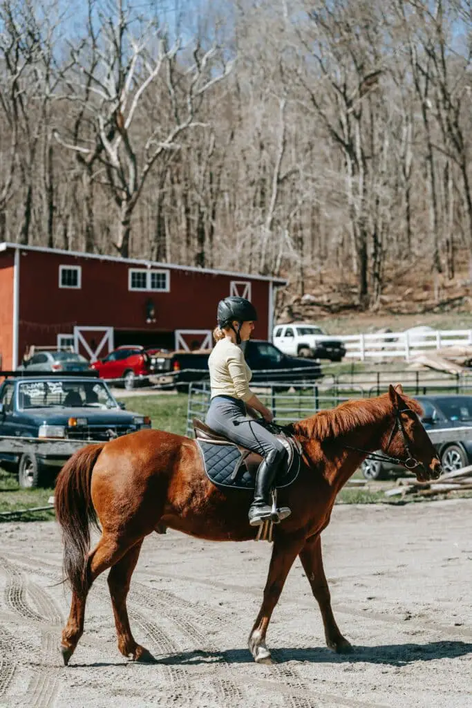 best horseback riding breeches for women