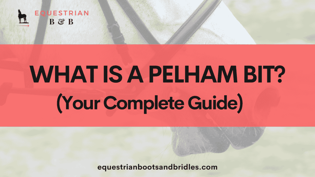 guide to pelham bits on equestrianbootsandbridles.com