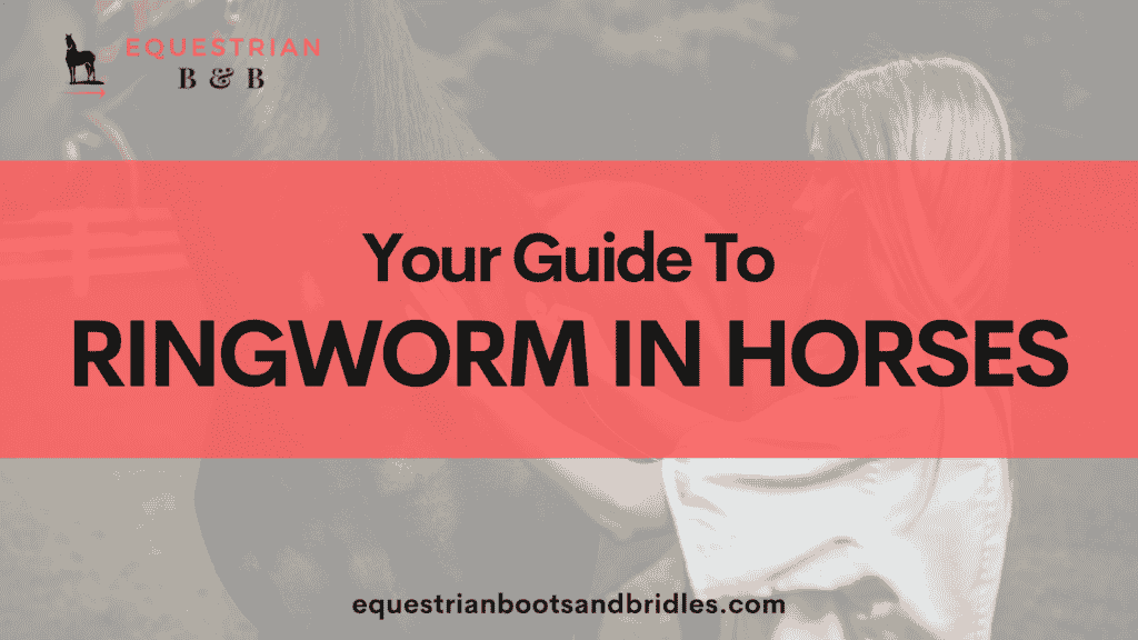 ringworm in horses