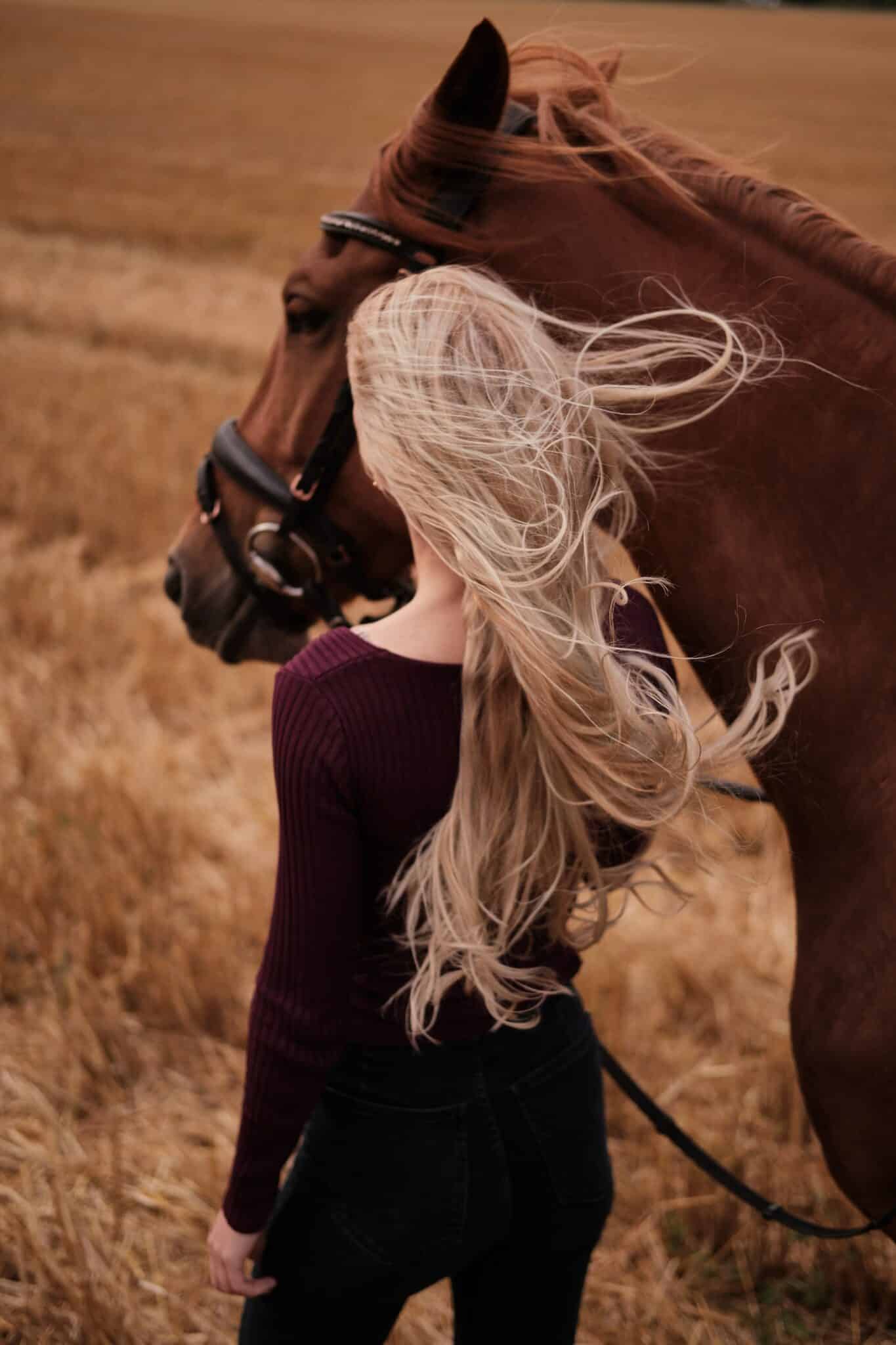 senior photoshoot with horses