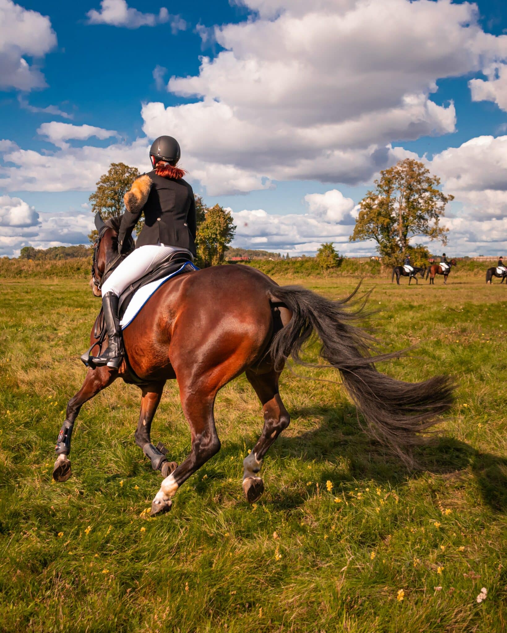 what-are-breeches-how-to-choose-the-right-pair-for-you