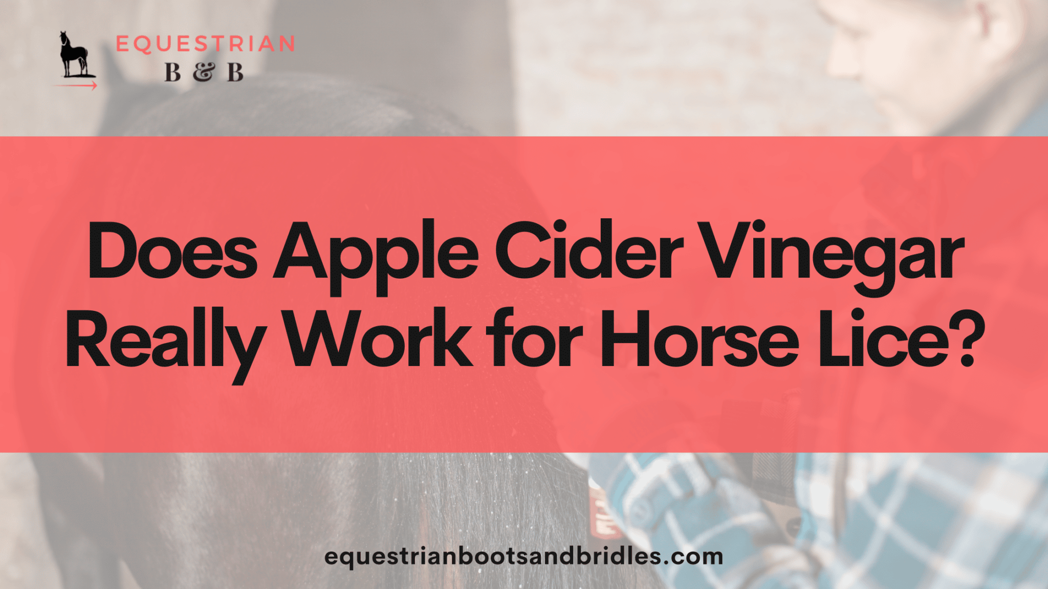 apple cider vinegar for horse lice on equestrianbootsandbridles.com