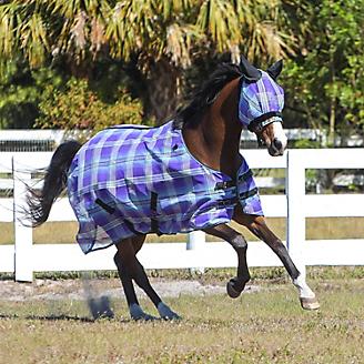 best fly sheets for horses kensington