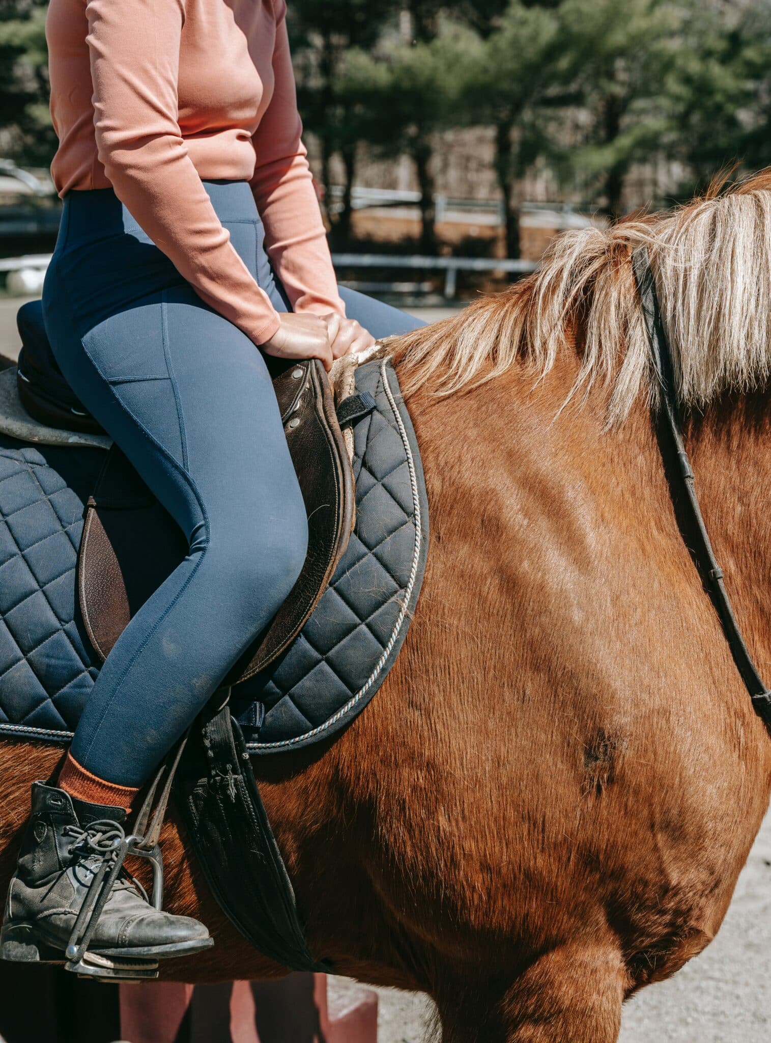 The 7 Best NonSlip Saddle Pads for 2022 Equestrian Boots and Bridles