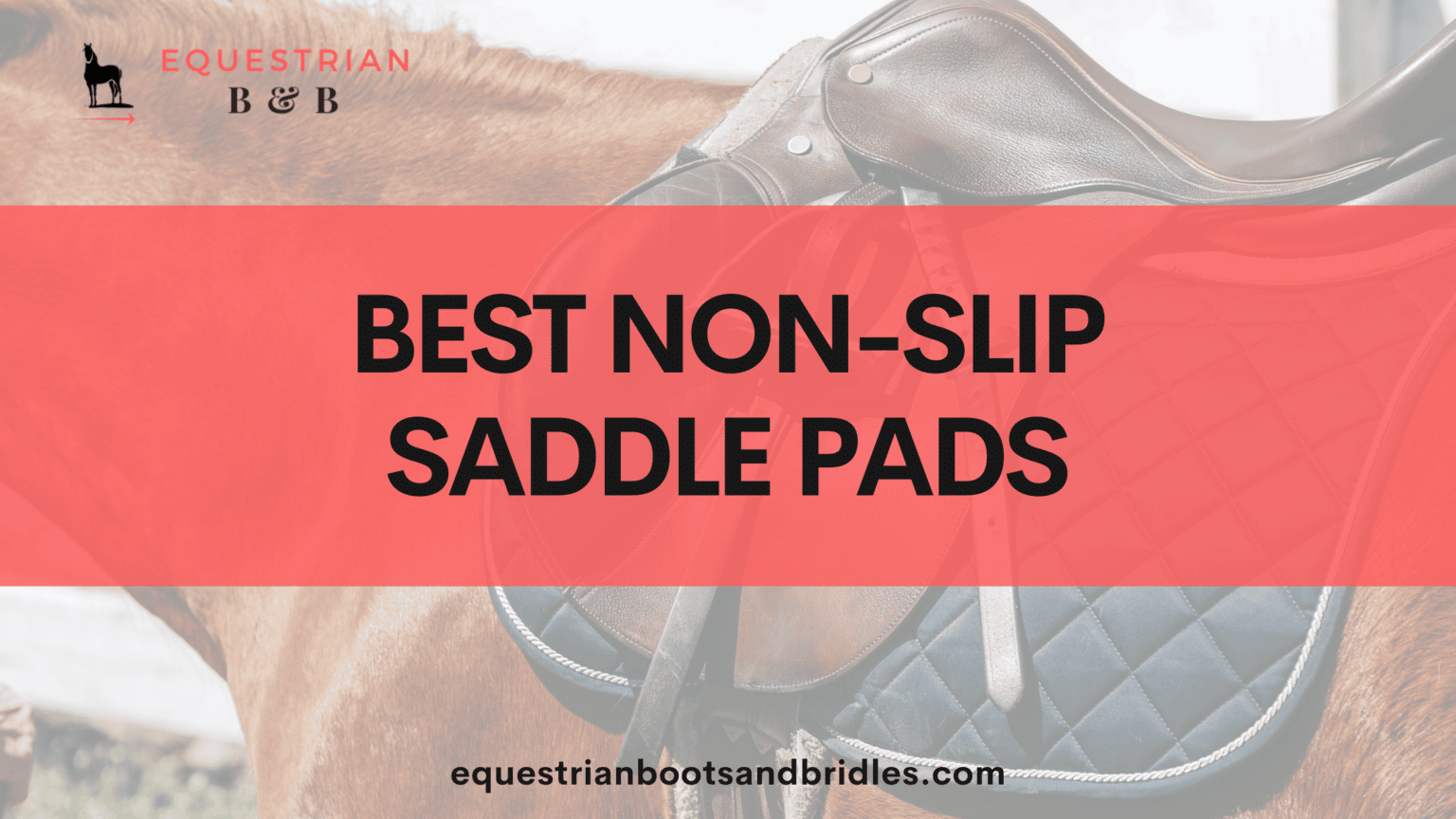 The 7 Best NonSlip Saddle Pads for 2022 Equestrian Boots and Bridles
