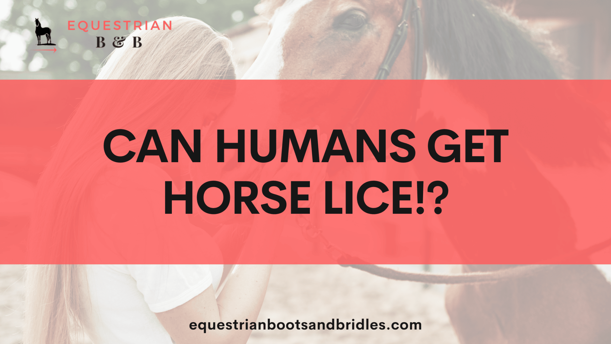can humans get horse lice on equestrianbootsandbridles.com