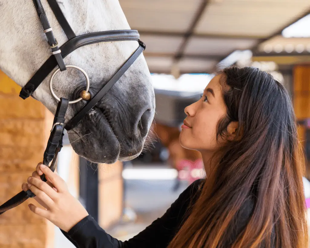 signs that a horse trusts you on equestrianbootsandbridles.com