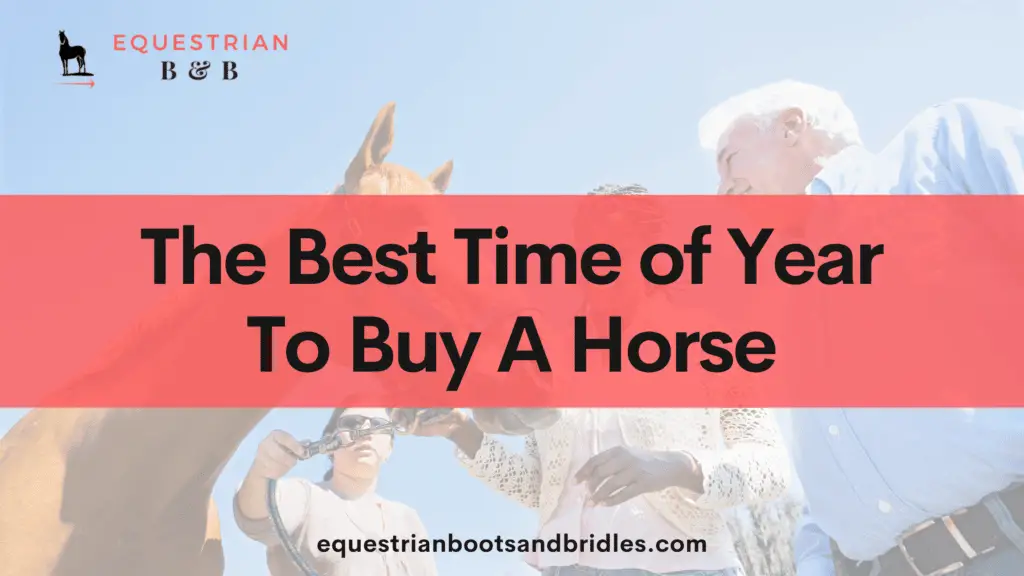 when is the best time of year to buy a horse on equestrianbootsandbridles.com