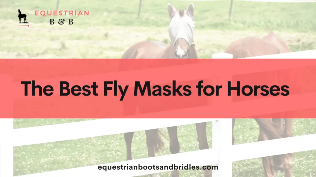 best fly masks for horses on equestrianbootsandbridles.com