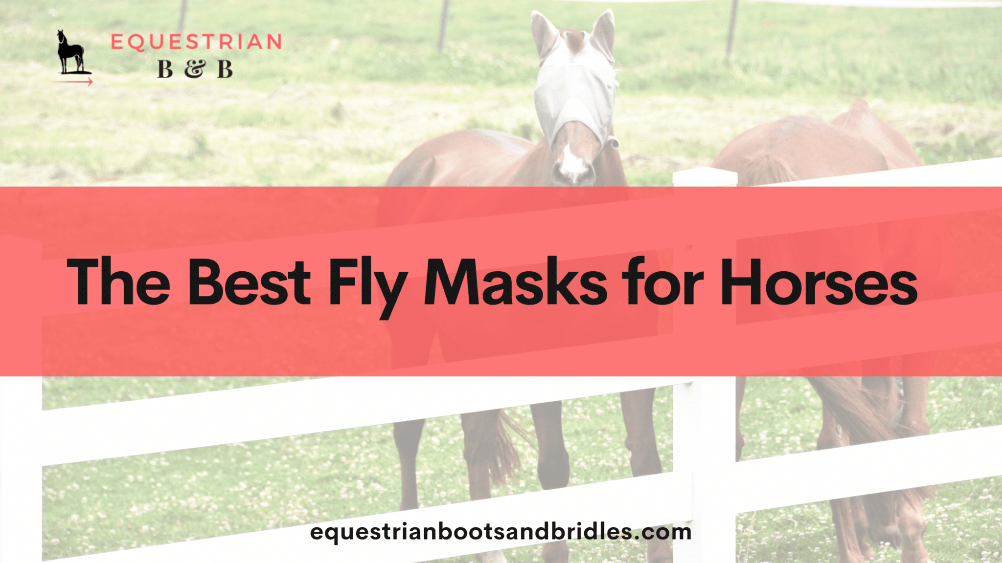 best fly masks for horses on equestrianbootsandbridles.com