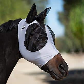 best fly masks for horses professionals choice
