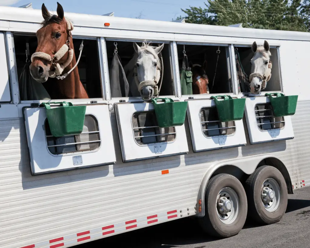 how much is horse trailer insurance on equestrianbootsandbridles.com