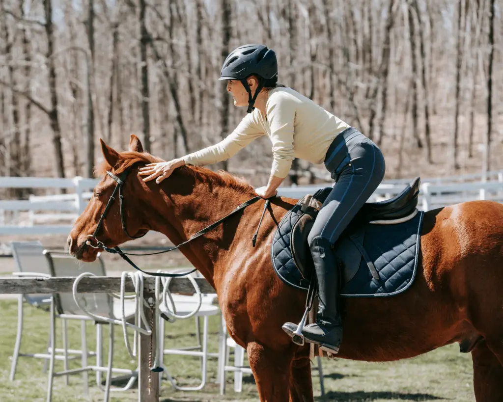 safest horseback riding helmets on equestrianbootsandbridles.com