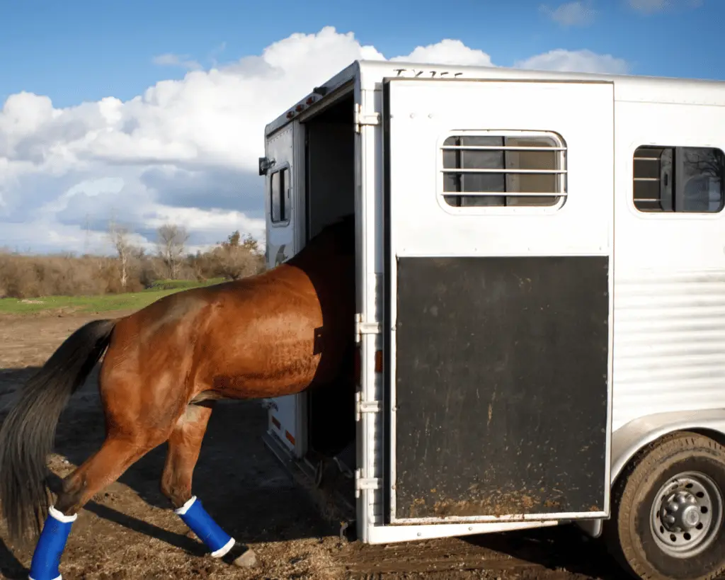 should you get horse trailer insurance on equestrianbootsandbridles.com