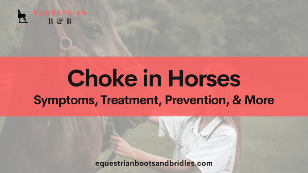 choke in horses on equestrianbootsandbridles.com