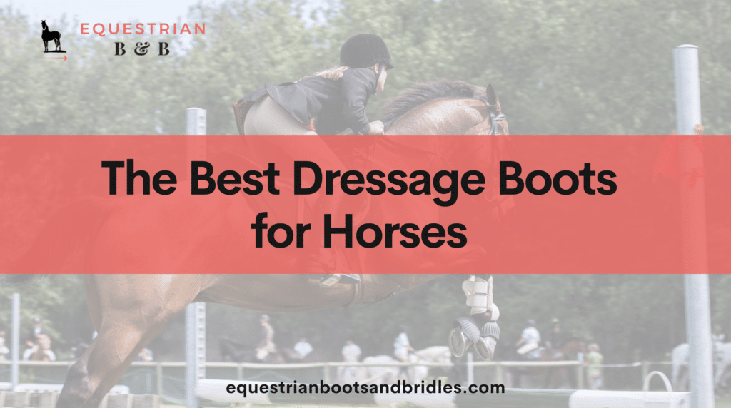 Best Dressage Boots for Horses on EquestrianBootsandBridles.com