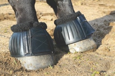 bell boots for horses from Professional's Choice