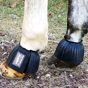 best bell boots for horses from Eskadron®