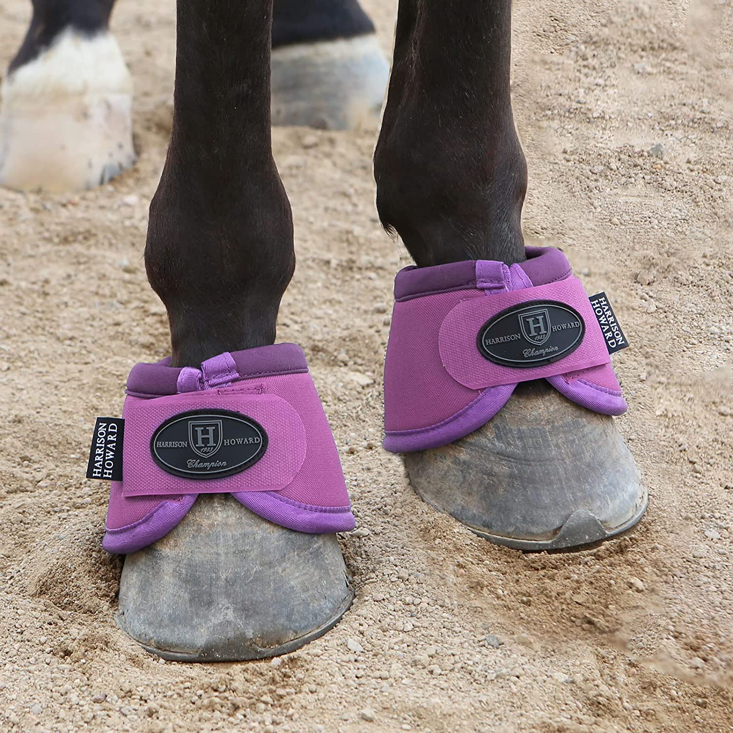 best bell boots for horses harrison howard