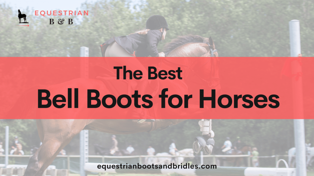 The 8 Best Bell Boots for Horses 7