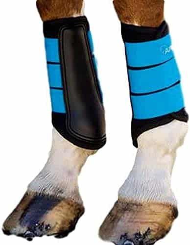best brush boots from shires