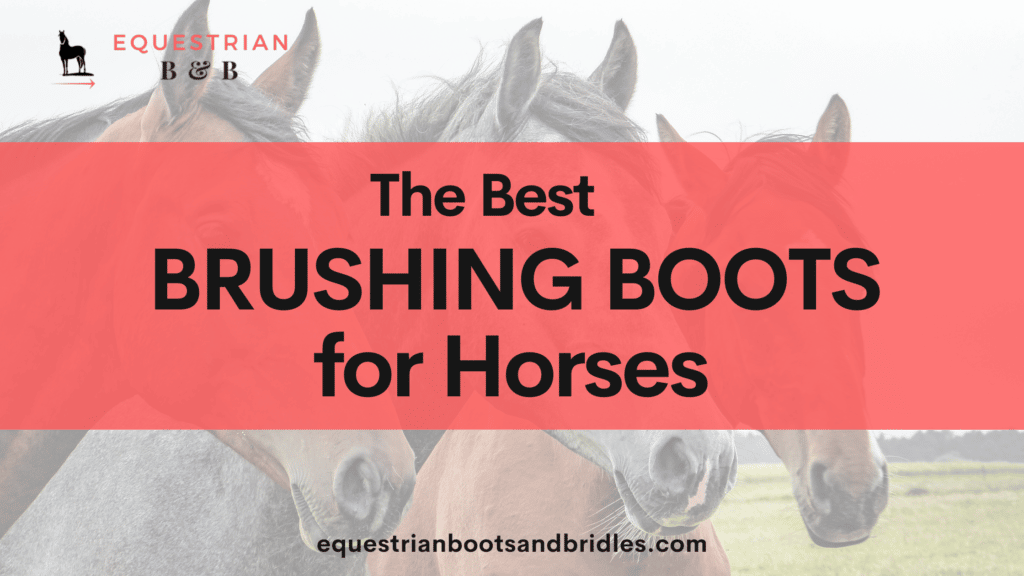 best brushing boots for horses on equestrianbootsandbridles.com