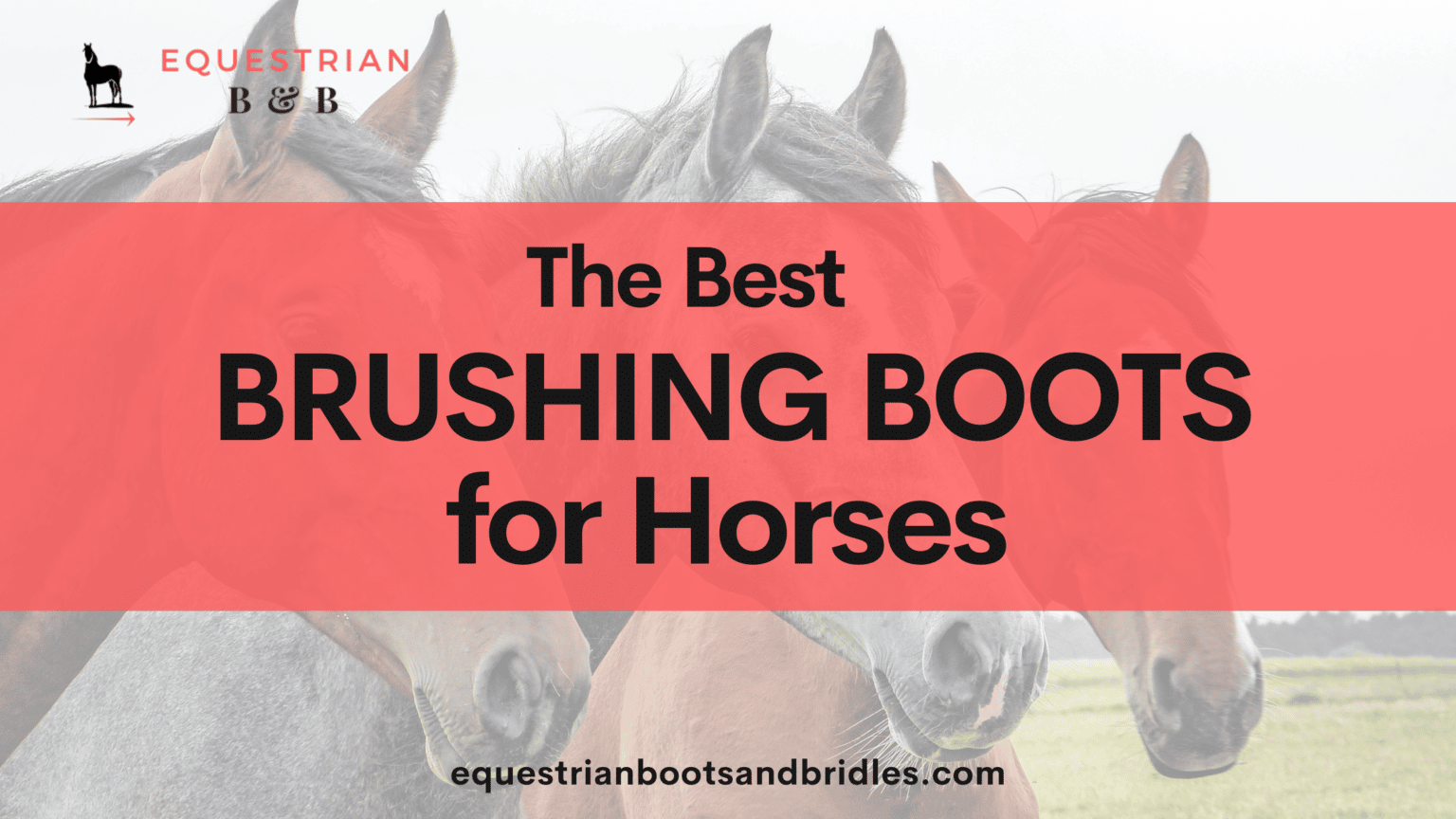 8 Best Brushing Boots for Horses Equestrian Boots and Bridles