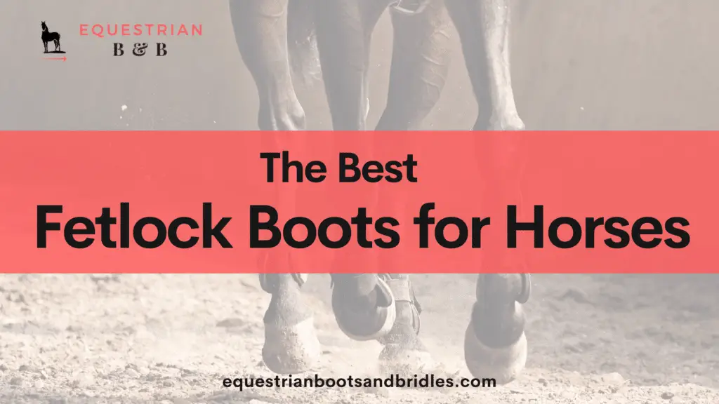 best fetlock boots for horses on equestrianbootsandbridles.com