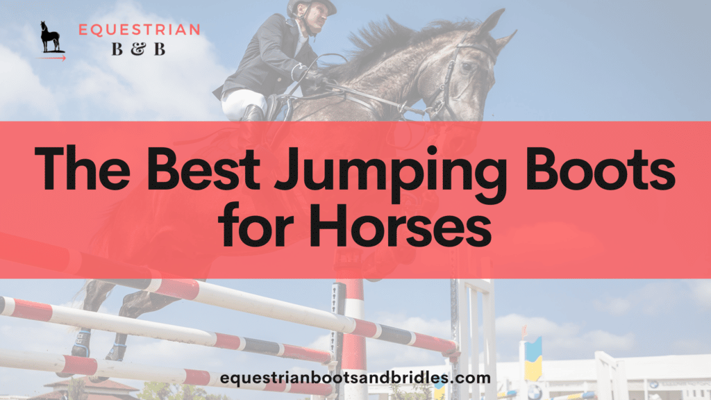best jumping boots for horses on equestrianbootsandbridles.com