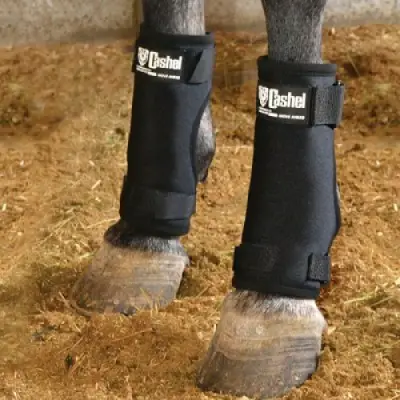 best sore healing turnout boots for horses cashel