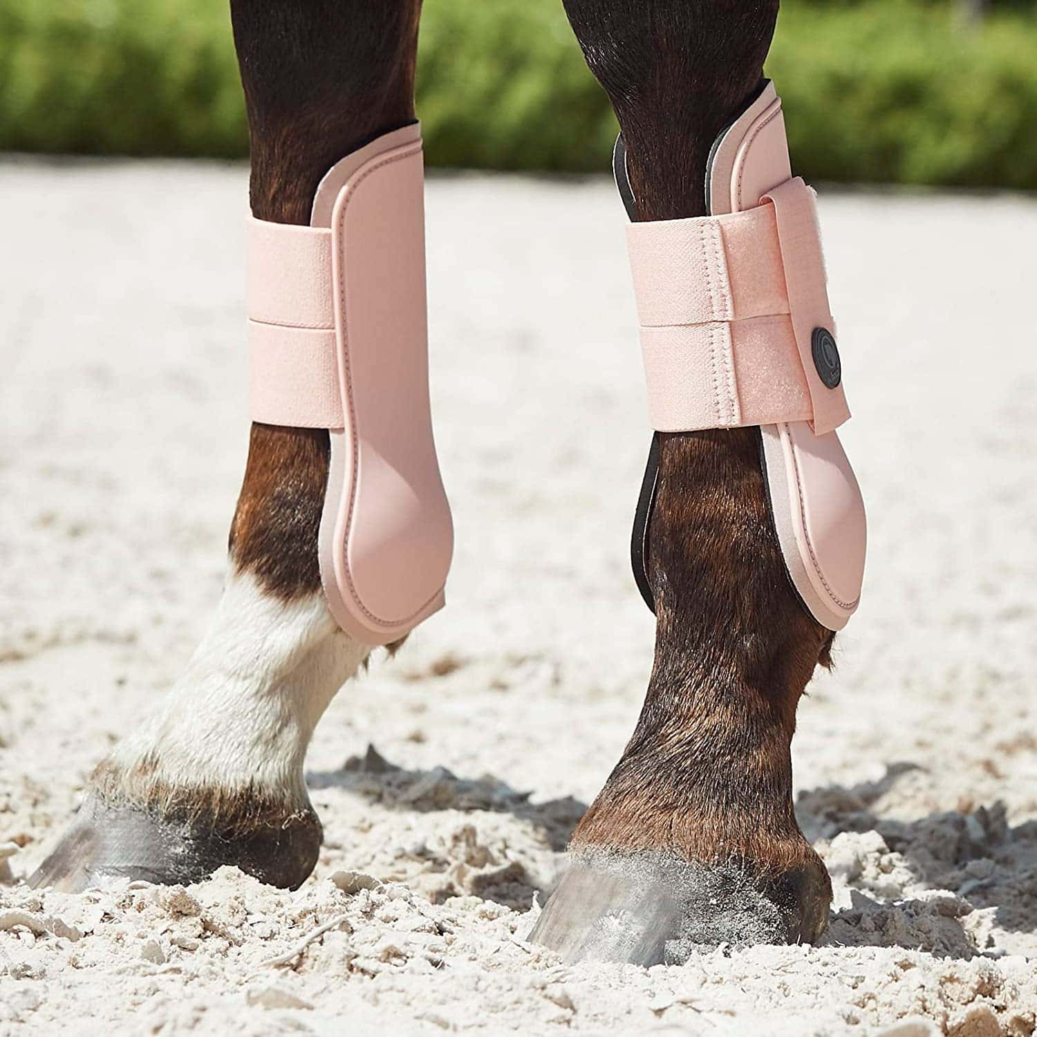 best tendon boots for horses from horze