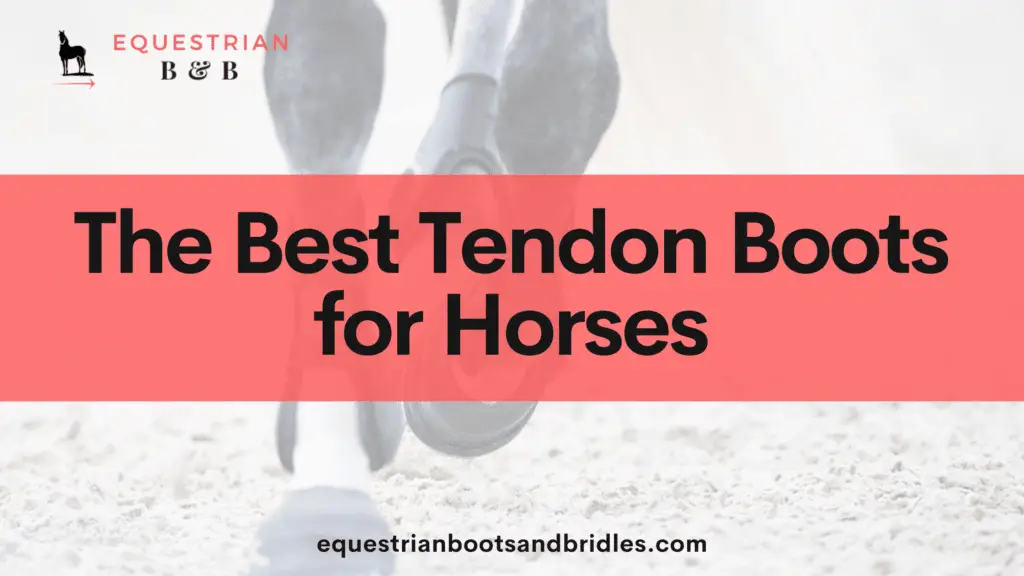 best tendon boots for horses on equestrianbootsandbridles.com (1)