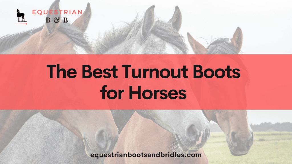 best turnout boots for horses on equestrianbootsandbridles.com