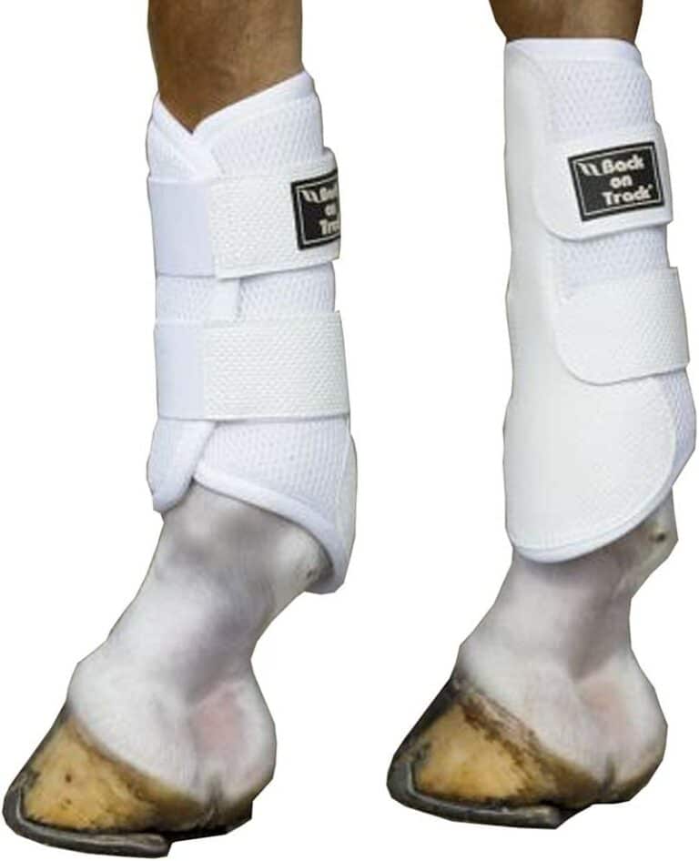 8 Best Brushing Boots for Horses Equestrian Boots and Bridles