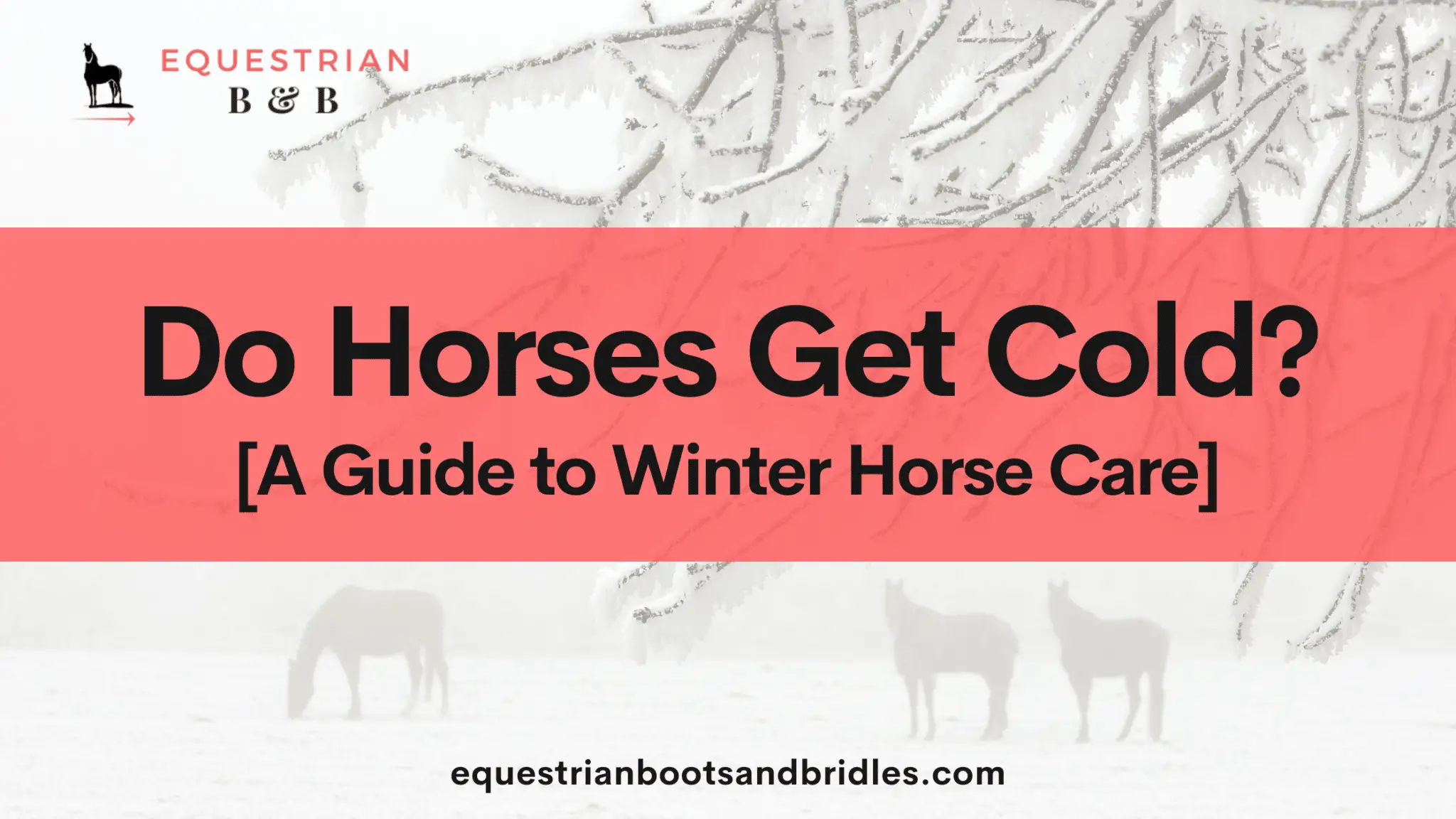 do horses get cold on equestrianbootsandbridles.com