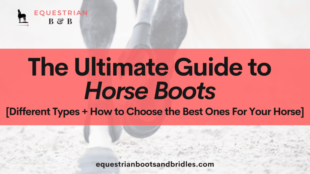 guide to boots for horses on equestrianbootsandbridles.com