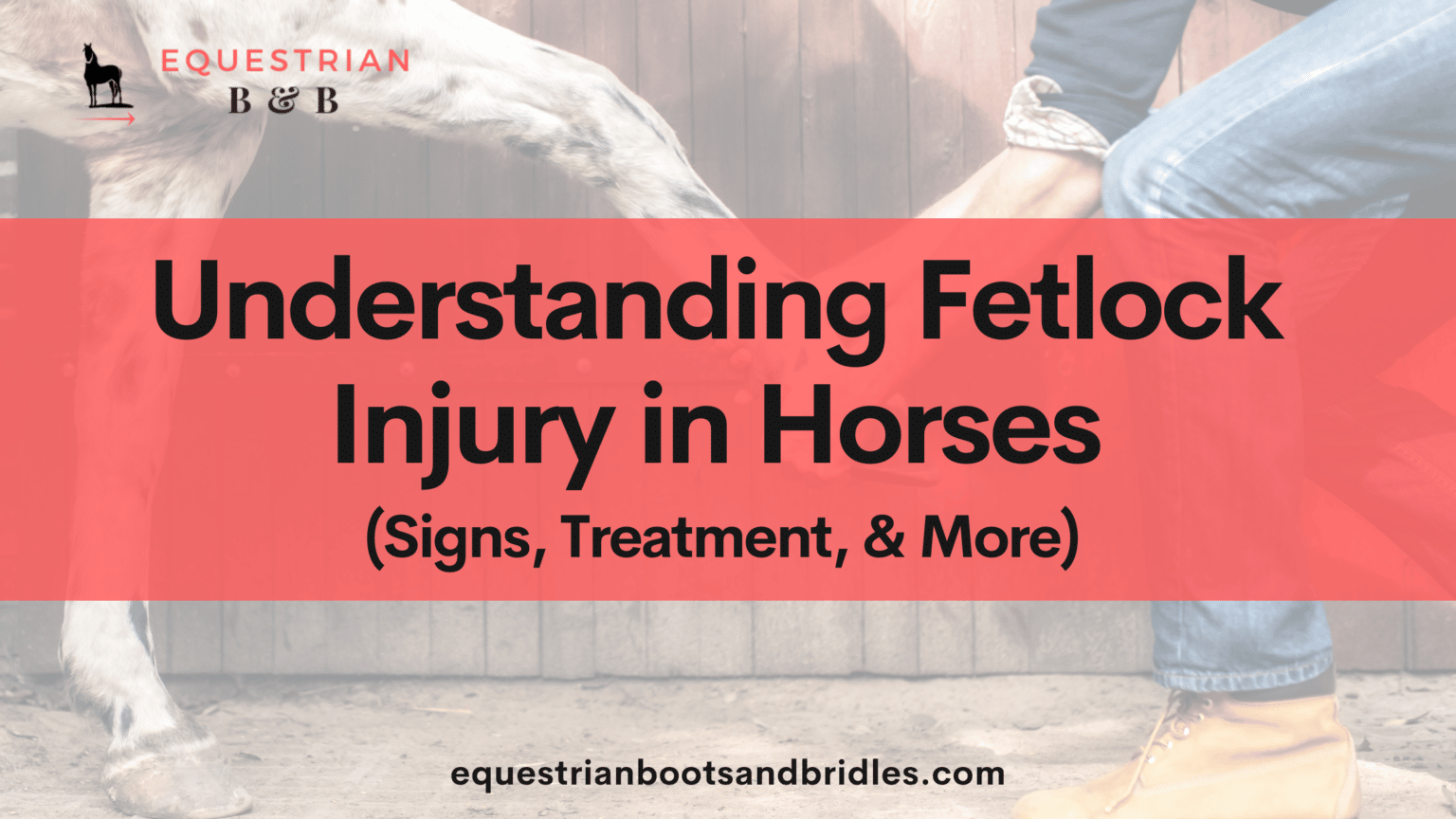 Understanding Fetlock Injury in Horses (Signs, Treatment, & More