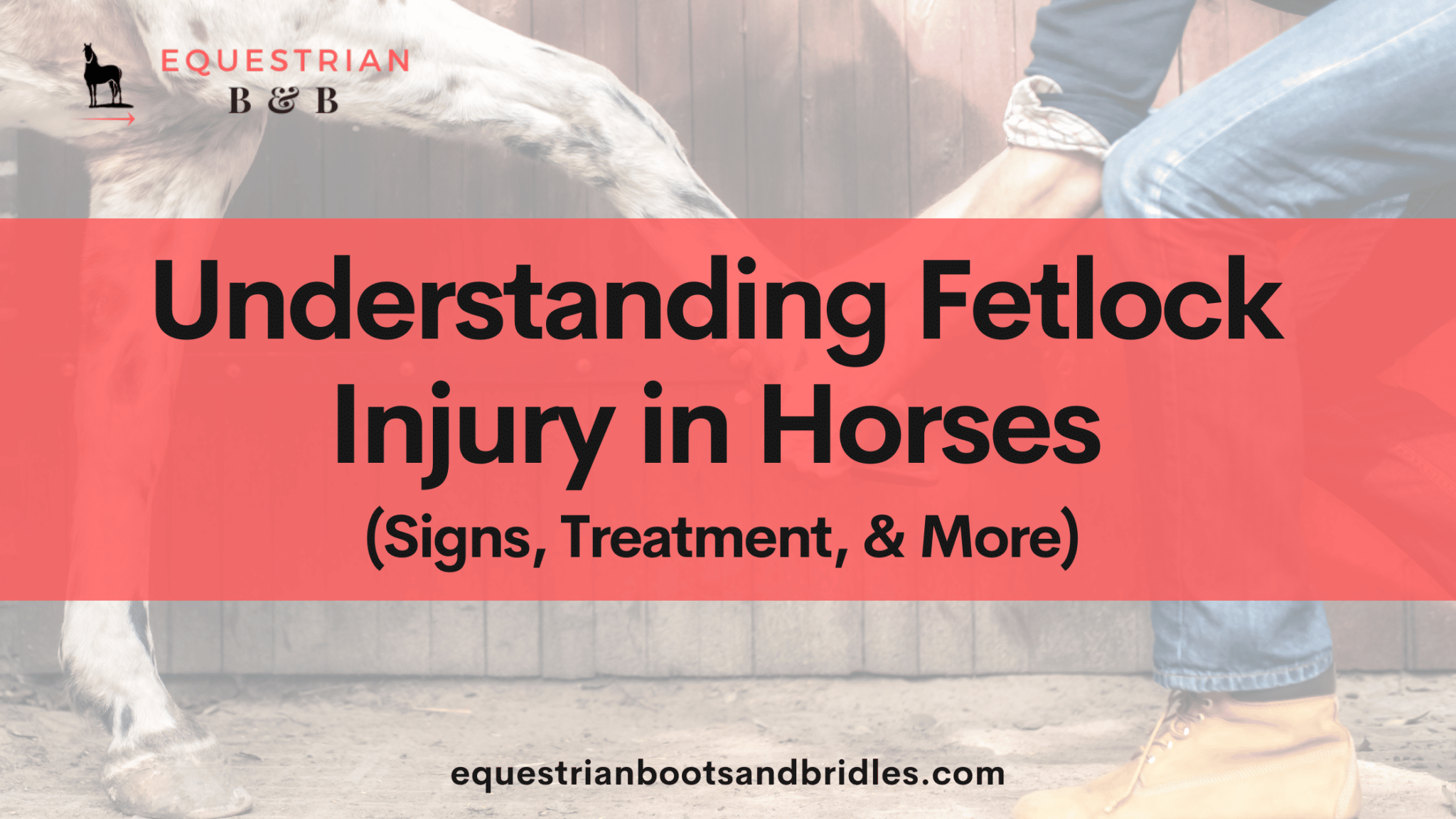 guide to fetlock injury in horses on equestrianbootsandbridles.com