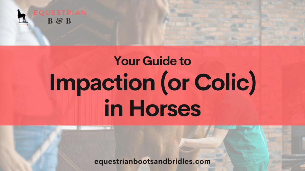 guide to impaction in horses on equestrianbootsandbridles.com