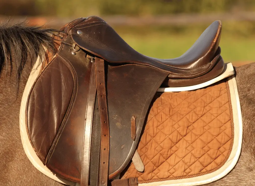 how much does a saddle cost equestrianbootsandbridles.com (3)