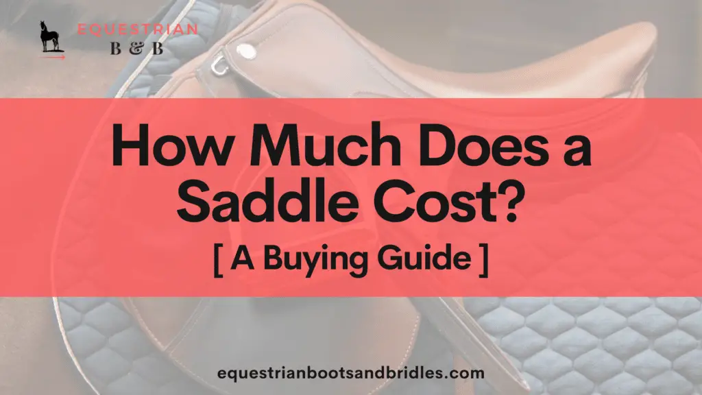 how much does a saddle cost on equestrianbootsandbridles.com