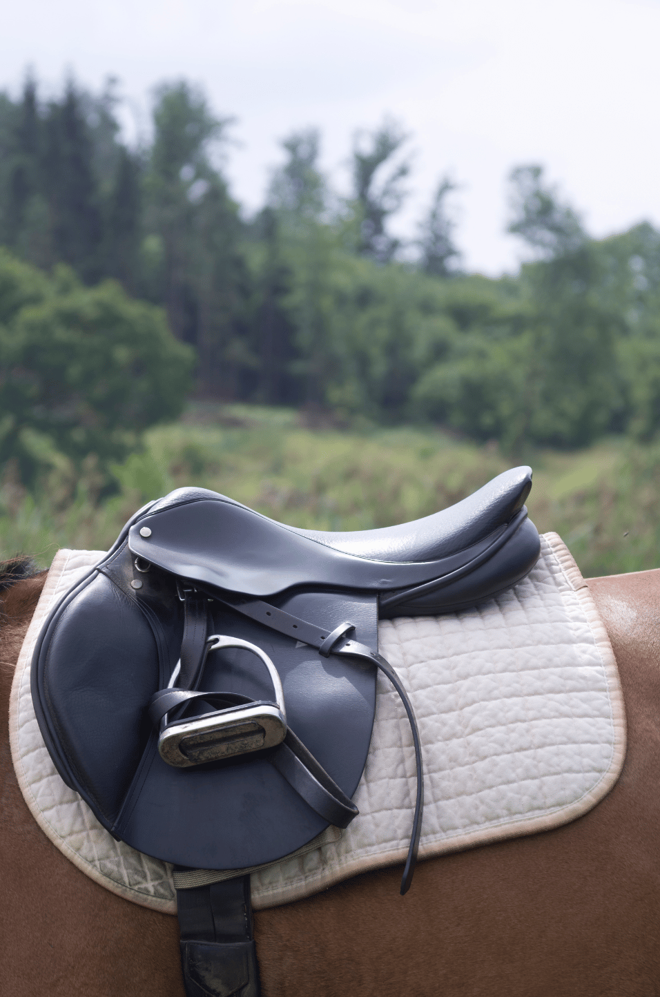 how much does an english saddle cost equestrianbootsandbridles.com