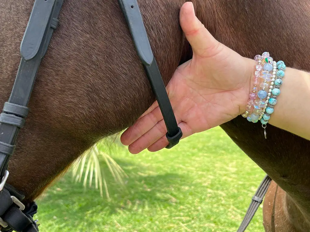 how to put on a bridle on equestrianbootsandbridles.com - four fingers
